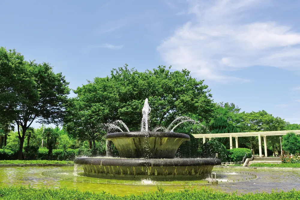 取組みをさらに進化（変化）させます